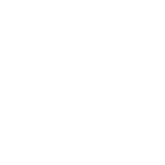 Virtual Assistant